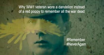 Why I wear a dandelion instead of a red poppy to remember the war dead